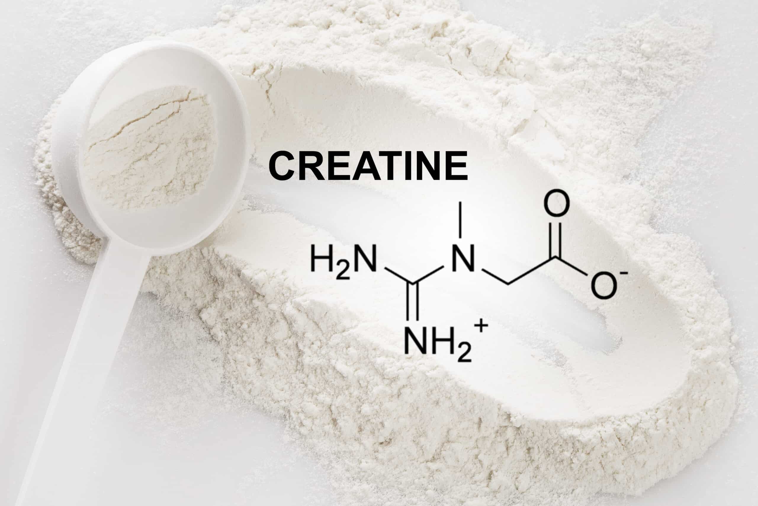 Creatine 1 kg DoseDialy - format vendu par DoseDialy