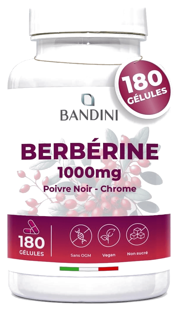 Berbérine 180 gélules